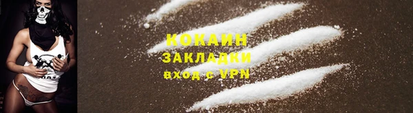 стафф Михайловск