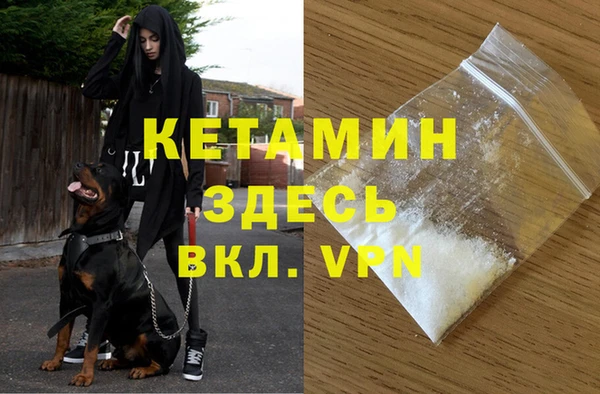 стафф Михайловск