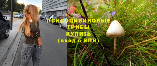 шишки Михайловка
