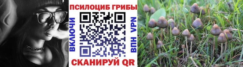 Галлюциногенные грибы Psilocybine cubensis  цены наркотик  Шадринск 