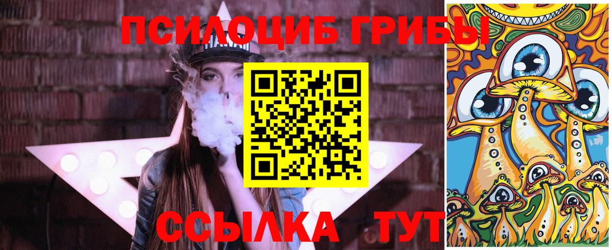 Галлюциногенные грибы Cubensis  Псилоцибиновые грибы Psilocybe  Шадринск  Вход с VPN 